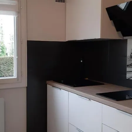 Ma Maison Fleurie Proche Aéroport, Eurexpo Appartement Janneyrias