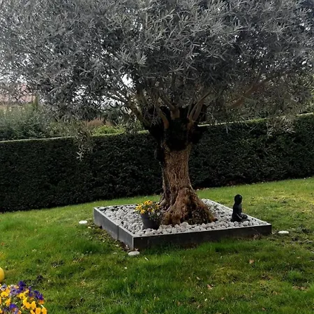 Ma Maison Fleurie Proche Aéroport, Eurexpo