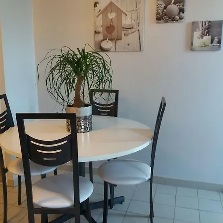 Ma Maison Fleurie Proche Aéroport, Eurexpo Appartement