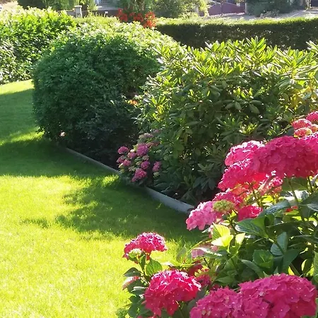 Appartement Ma Maison Fleurie Proche Aéroport, Eurexpo *