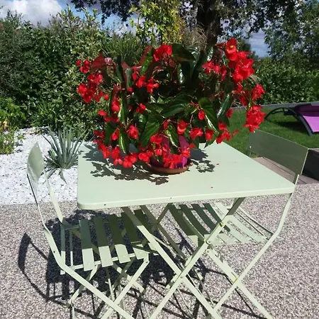 Appartement Ma Maison Fleurie Proche Aéroport, Eurexpo Janneyrias