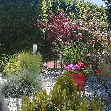 Ma Maison Fleurie Proche Aéroport, Eurexpo Appartement *