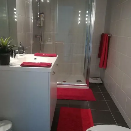 Appartement Ma Maison Fleurie Proche Aéroport, Eurexpo *
